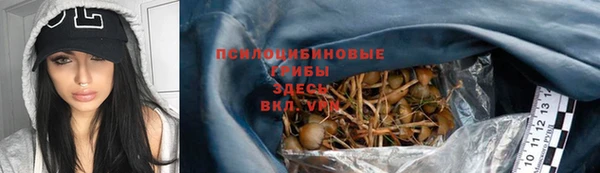 a pvp Арсеньев