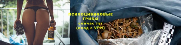 эйфоретик Армянск