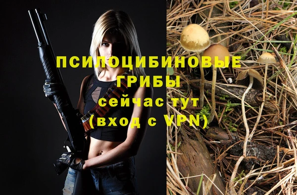 a pvp Арсеньев