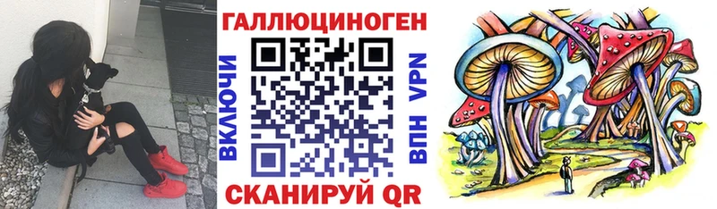 omg онион  Суджа  Псилоцибиновые грибы ЛСД  закладка 
